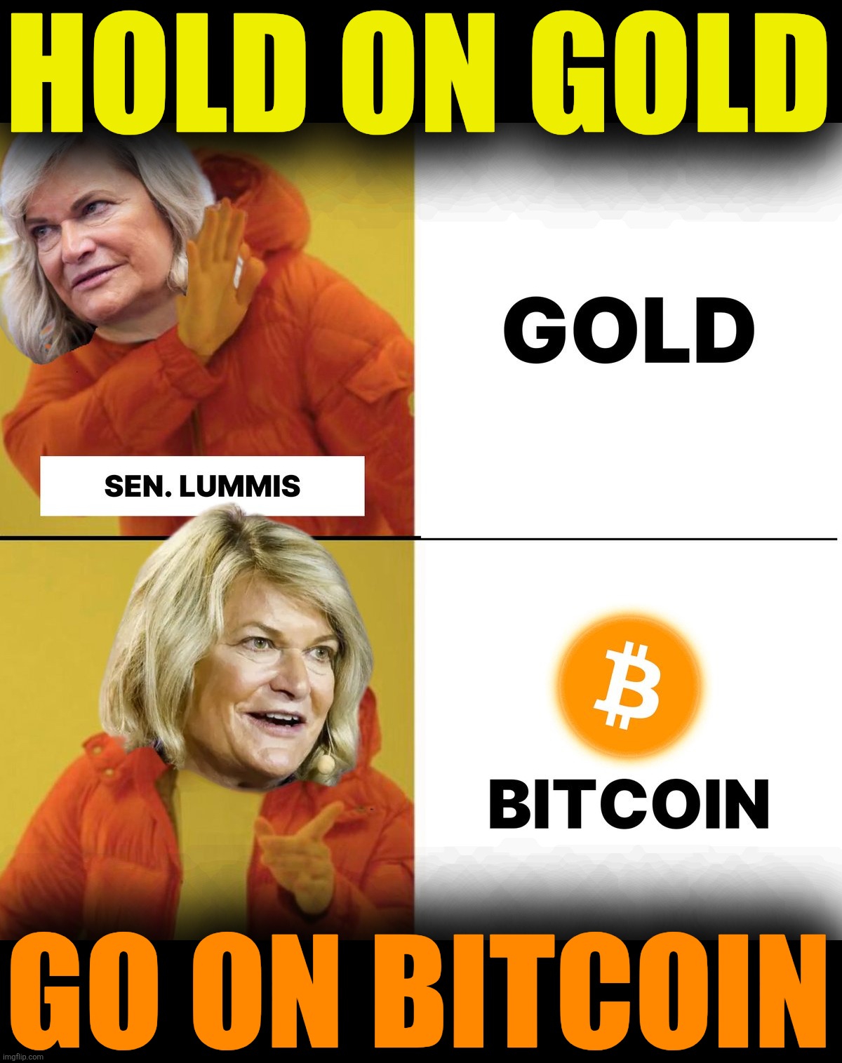 Embrace Strategic Bitcoin Reserve | HOLD ON GOLD; GO ON BITCOIN | image tagged in bitcoin,strategic bitcoin reserve,donald trump executive order,cynthia lummis | made w/ Imgflip meme maker
