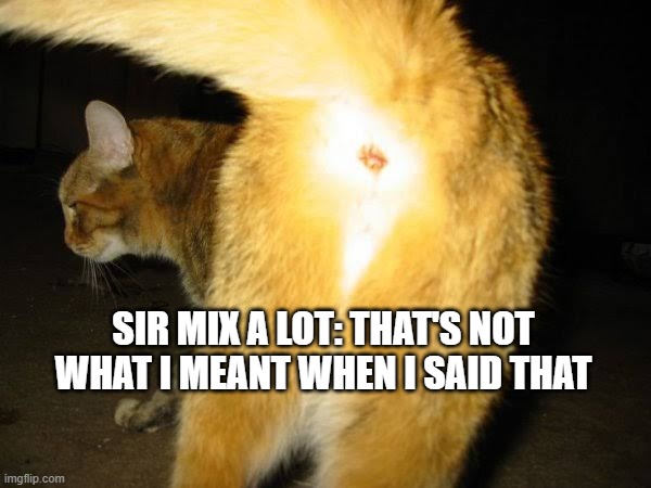 baby got back | SIR MIX A LOT: THAT'S NOT WHAT I MEANT WHEN I SAID THAT | image tagged in cats butt,sir mix alot,butt hurt,im going to hell for this | made w/ Imgflip meme maker