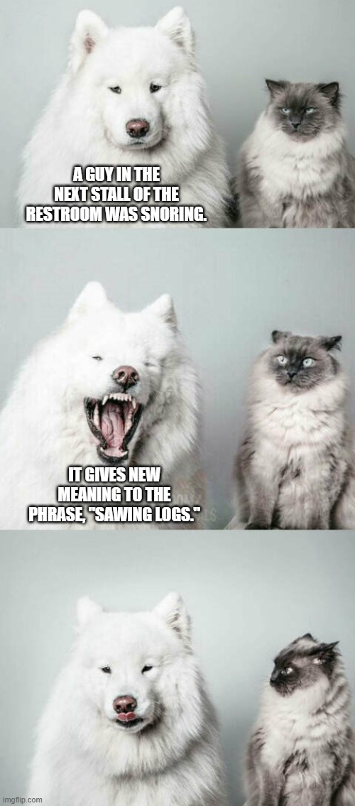 Cat reacts to dog pun | A GUY IN THE NEXT STALL OF THE RESTROOM WAS SNORING. IT GIVES NEW MEANING TO THE PHRASE, "SAWING LOGS." | image tagged in cat,dog,bad pun dog | made w/ Imgflip meme maker
