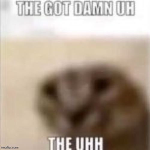 made w/ Imgflip meme maker