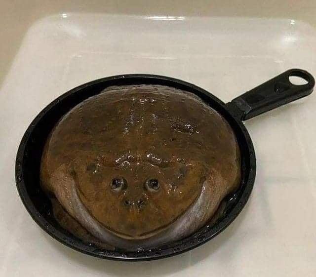 Frog pan Blank Meme Template