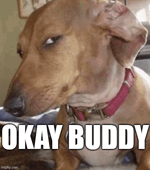 Side eye dog | OKAY BUDDY | image tagged in side eye dog,okay buddy,sarcasm | made w/ Imgflip meme maker