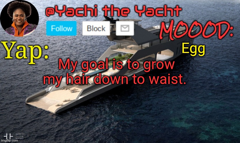 Yachis temp (thank you Loserism) | Egg; My goal is to grow my hair down to waist. | image tagged in yachis temp thank you loserism | made w/ Imgflip meme maker