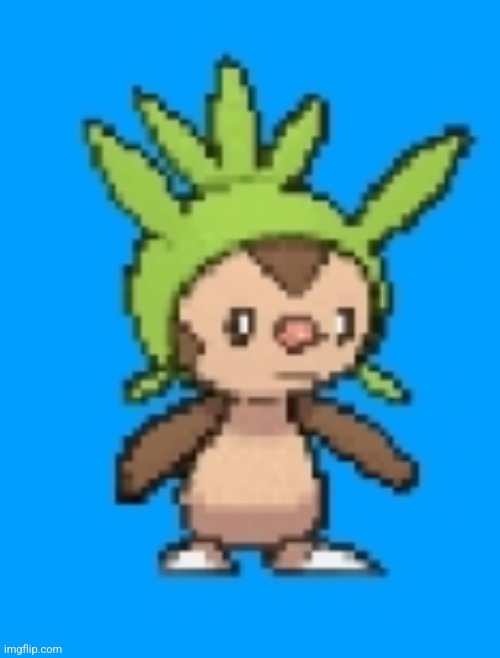 Bored chespin | image tagged in bored chespin | made w/ Imgflip meme maker