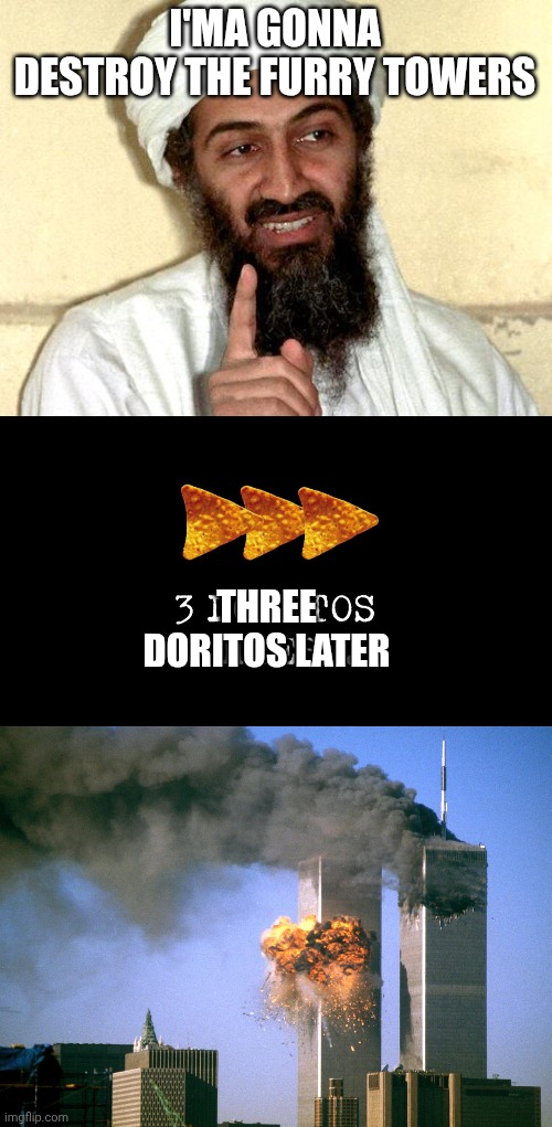 I'MA GONNA DESTROY THE FURRY TOWERS THREE DORITOS LATER | image tagged in osama bin laden,3 doritos antes,911 9/11 twin towers impact | made w/ Imgflip meme maker