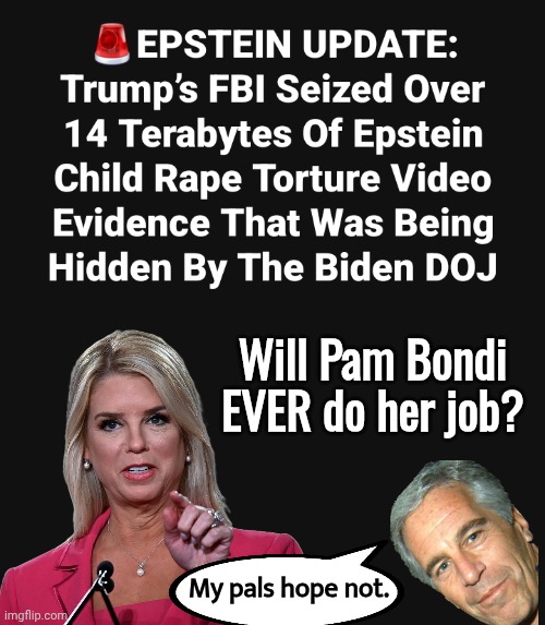 Will Pam Bondi ever do her job¿ | Will Pam Bondi EVER do her job? My pals hope not. | image tagged in jeffrey epstein,pam,pedophiles | made w/ Imgflip meme maker