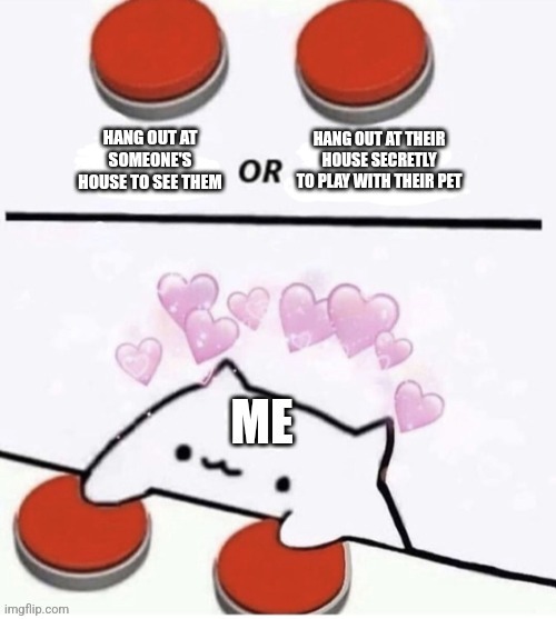Pet Love | image tagged in cat pressing two buttons,memes,wholesome,cat,friends,pets | made w/ Imgflip meme maker