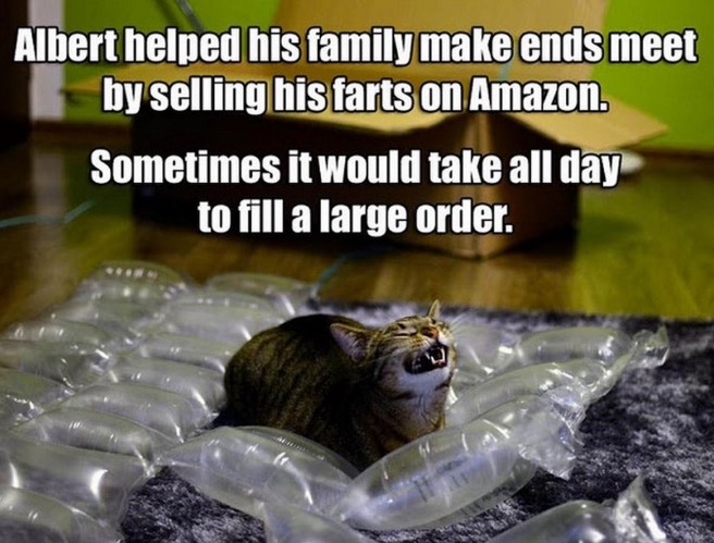 Cat Selling Farts On Amazon | image tagged in cats,funny cat memes,amazon,farts,for sale,funny face | made w/ Imgflip meme maker