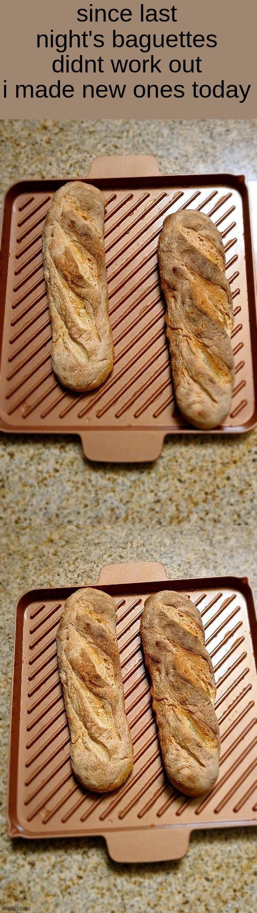 howd i do? | since last night's baguettes didnt work out i made new ones today | made w/ Imgflip meme maker