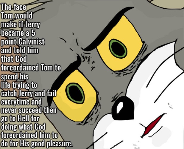 The Face Tom Would Make | The face Tom would make if Jerry became a 5 point Calvinist and told him that God foreordained Tom to; spend his life trying to catch Jerry and fail everytime and never succeed then go to Hell for doing what God foreordained him to do for His good pleasure. | image tagged in unsettled tom,tom and jerry,calvinism,arminian,molinism,reformed theology 5 point calvinists | made w/ Imgflip meme maker