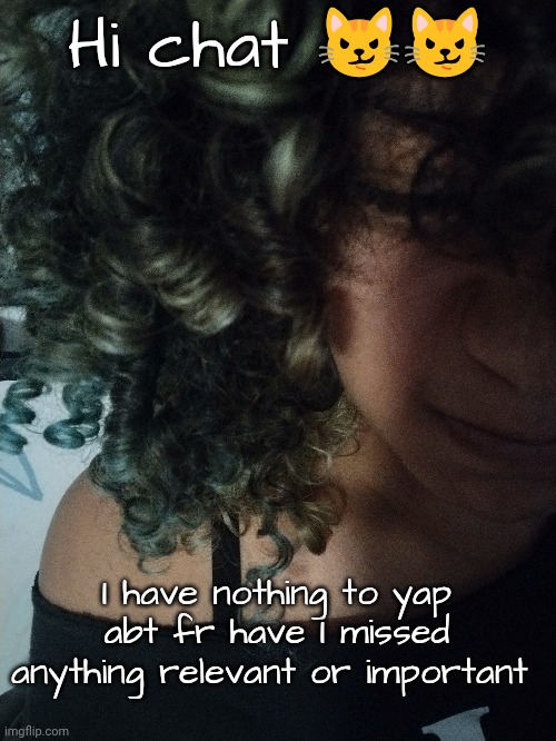 I think this is a silly picture of me | Hi chat 😼😼; I have nothing to yap abt fr have I missed anything relevant or important | made w/ Imgflip meme maker