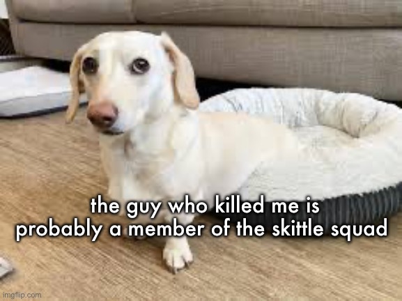 Whitney Chewston | the guy who killed me is probably a member of the skittle squad | image tagged in whitney chewston | made w/ Imgflip meme maker