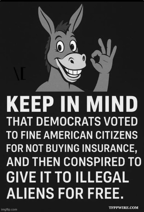 Keep in mind... | image tagged in criminal democrats,hate america | made w/ Imgflip meme maker