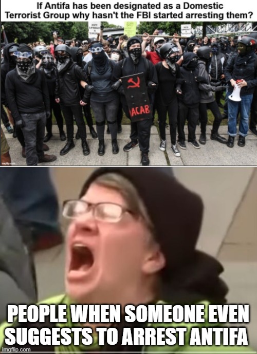PEOPLE WHEN SOMEONE EVEN SUGGESTS TO ARREST ANTIFA | image tagged in screaming liberal | made w/ Imgflip meme maker