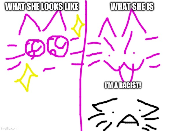 WHAT SHE LOOKS LIKE                     WHAT SHE IS; I’M A RACIST! | made w/ Imgflip meme maker