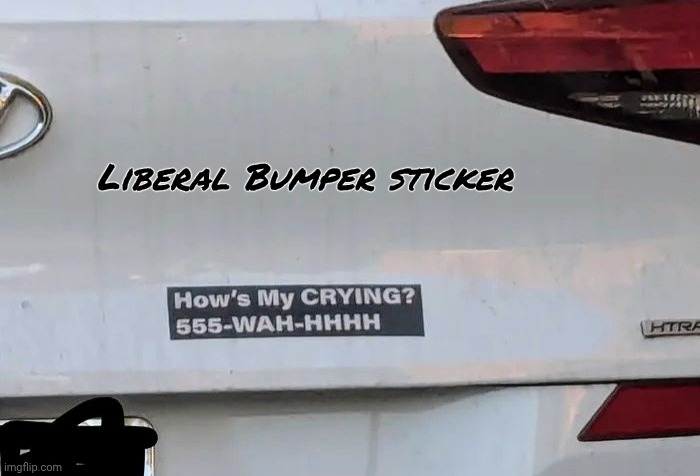 Liberal Bumper sticker | made w/ Imgflip meme maker