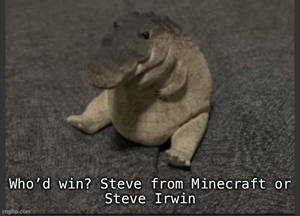 My money on my boy, Irwin | Who’d win? Steve from Minecraft or

Steve Irwin | image tagged in greg | made w/ Imgflip meme maker