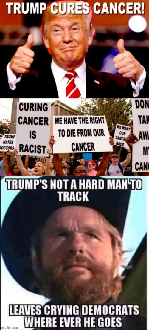 If Trump cured cancer, triggered libs would be whining about that too | image tagged in whatever trump does,triggered libs,will whine | made w/ Imgflip meme maker