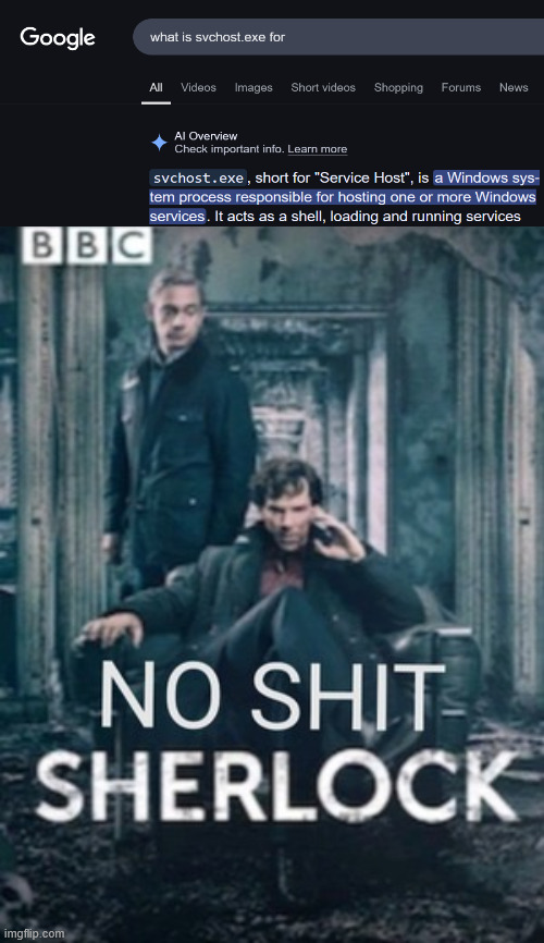 I'm not an expert in the tech field, but you would think that executable files... execute lines of code... | image tagged in no shit sherlock,google,ai,google search,computers,windows | made w/ Imgflip meme maker