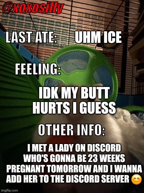 Her name's Evie and she's very chill | UHM ICE; IDK MY BUTT HURTS I GUESS; I MET A LADY ON DISCORD WHO'S GONNA BE 23 WEEKS PREGNANT TOMORROW AND I WANNA ADD HER TO THE DISCORD SERVER 😊 | image tagged in xoxosilly's announcement template | made w/ Imgflip meme maker