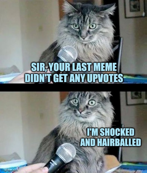Cat Interview | SIR, YOUR LAST MEME DIDN'T GET ANY UPVOTES; I'M SHOCKED AND HAIRBALLED | image tagged in cat interview,cat,no upvotes,shocked,savage memes,what if i told you | made w/ Imgflip meme maker