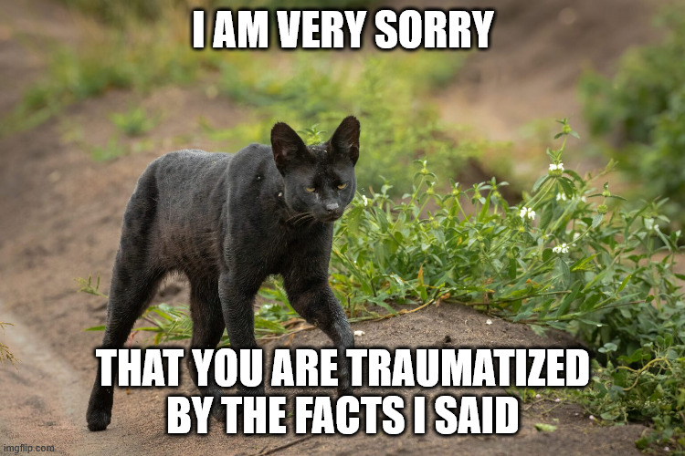Black Serval Cat | I AM VERY SORRY; THAT YOU ARE TRAUMATIZED BY THE FACTS I SAID | image tagged in black serval cat | made w/ Imgflip meme maker