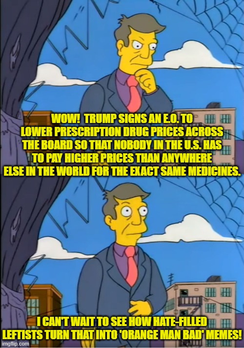 Go ahead leftists.  Let's see what you've got -- that is, as soon as your media tells you what to think. | WOW!  TRUMP SIGNS AN E.O. TO LOWER PRESCRIPTION DRUG PRICES ACROSS THE BOARD SO THAT NOBODY IN THE U.S. HAS TO PAY HIGHER PRICES THAN ANYWHERE ELSE IN THE WORLD FOR THE EXACT SAME MEDICINES. I CAN'T WAIT TO SEE HOW HATE-FILLED LEFTISTS TURN THAT INTO 'ORANGE MAN BAD' MEMES! | image tagged in skinner out of touch | made w/ Imgflip meme maker