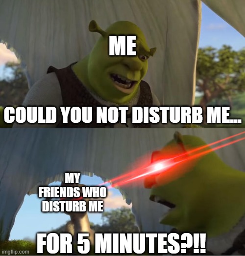 Me to my friends at school | ME; COULD YOU NOT DISTURB ME... MY FRIENDS WHO DISTURB ME; FOR 5 MINUTES?!! | image tagged in shrek for five minutes | made w/ Imgflip meme maker