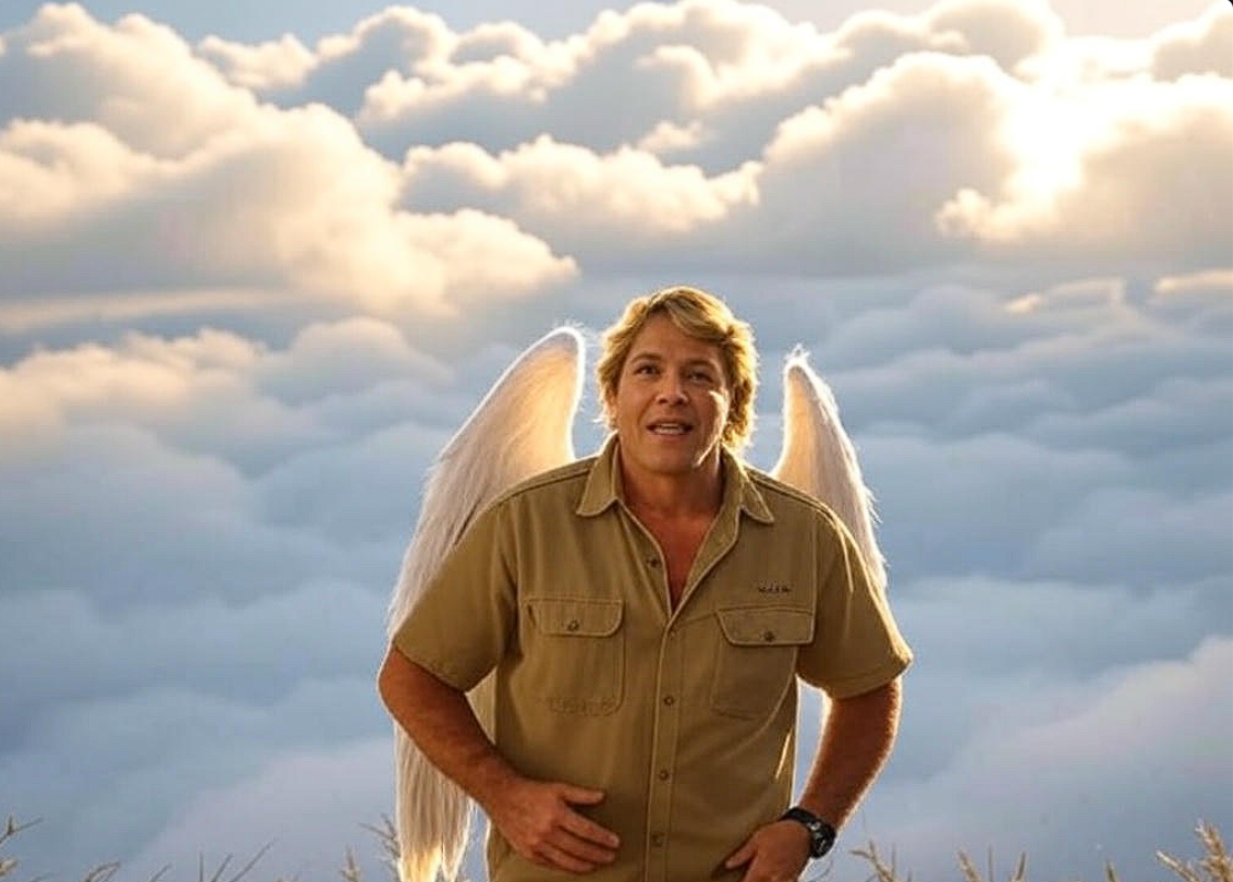 Steve Irwin Blank Meme Template