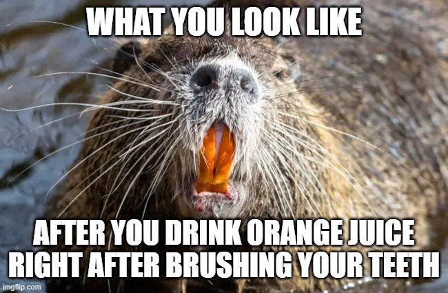 WHAT YOU LOOK LIKE AFTER YOU DRINK ORANGE JUICE RIGHT AFTER BRUSHING YOUR TEETH | made w/ Imgflip meme maker