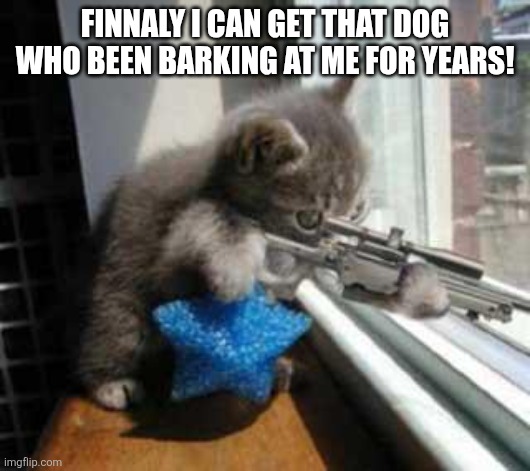 CatSniper | FINNALY I CAN GET THAT DOG WHO BEEN BARKING AT ME FOR YEARS! | image tagged in catsniper | made w/ Imgflip meme maker