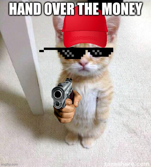Cute Cat | HAND OVER THE MONEY | image tagged in memes,cute cat | made w/ Imgflip meme maker