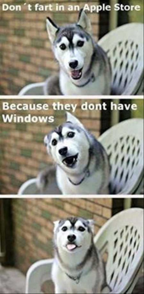 No Windows | image tagged in dogs,funny dog memes,apple,windows,fart,hilarious | made w/ Imgflip meme maker