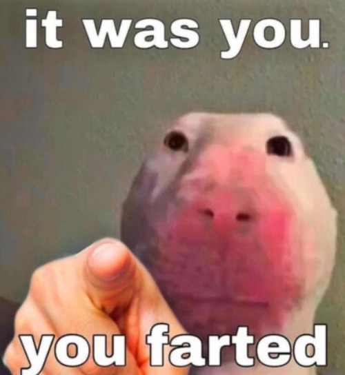 You Farted | image tagged in funny,farted,fun,pointing,you did it,funny meme | made w/ Imgflip meme maker