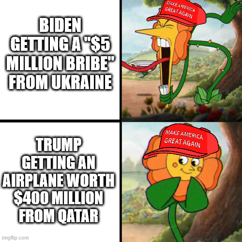 something something drain the swamp | BIDEN GETTING A "$5 MILLION BRIBE" FROM UKRAINE; TRUMP GETTING AN AIRPLANE WORTH $400 MILLION FROM QATAR | image tagged in cuphead flower | made w/ Imgflip meme maker