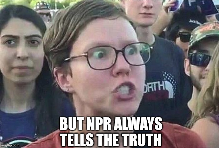 Triggered Liberal | BUT NPR ALWAYS TELLS THE TRUTH | image tagged in triggered liberal | made w/ Imgflip meme maker