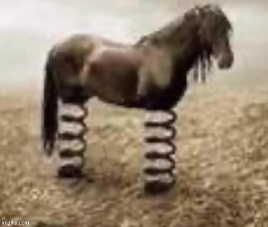 cavallo primavera | image tagged in cavallo primavera | made w/ Imgflip meme maker