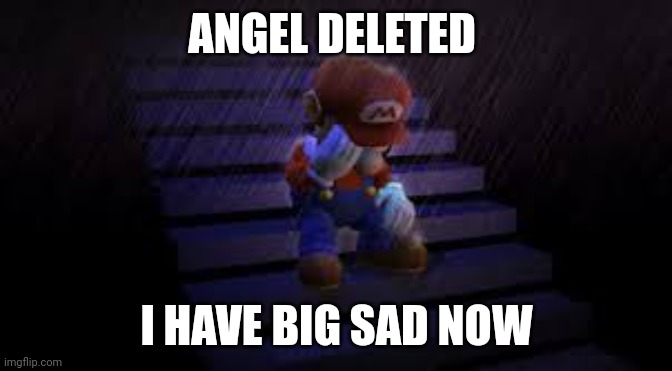 Sad mario | ANGEL DELETED; I HAVE BIG SAD NOW | image tagged in sad mario | made w/ Imgflip meme maker