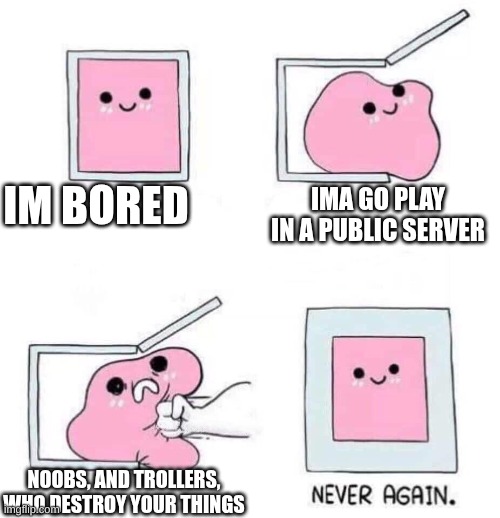 honestly bro | IM BORED; IMA GO PLAY IN A PUBLIC SERVER; NOOBS, AND TROLLERS, WHO DESTROY YOUR THINGS | image tagged in never again | made w/ Imgflip meme maker