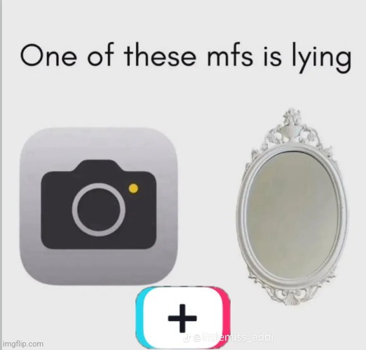 Tiktok repost 2/19 | made w/ Imgflip meme maker