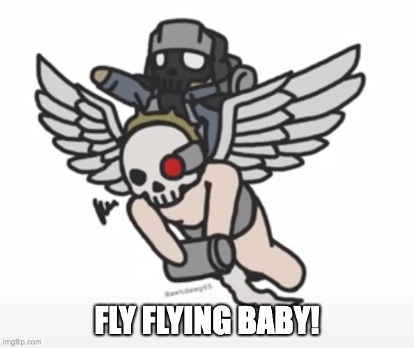 FLY FLYING BABY! | made w/ Imgflip meme maker