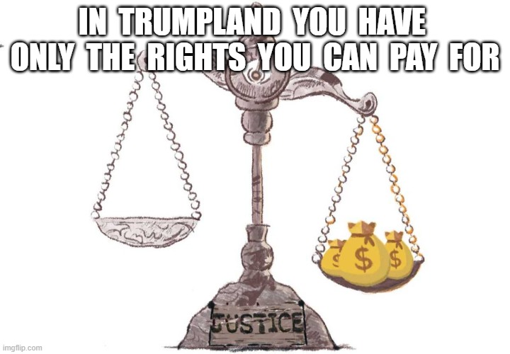 Justice = Just Us | IN  TRUMPLAND  YOU  HAVE  ONLY  THE  RIGHTS  YOU  CAN  PAY  FOR | image tagged in maga | made w/ Imgflip meme maker