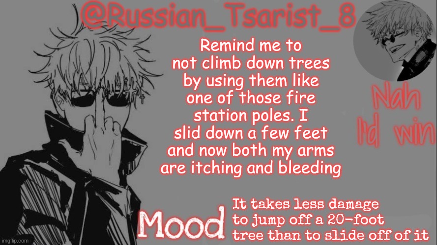 Russian_Tsarist_8 announcement temp (Thanks, Gojo-Satoru) | Remind me to not climb down trees by using them like one of those fire station poles. I slid down a few feet and now both my arms are itching and bleeding; It takes less damage to jump off a 20-foot tree than to slide off of it | image tagged in russian_tsarist_8 announcement temp thanks gojo-satoru | made w/ Imgflip meme maker