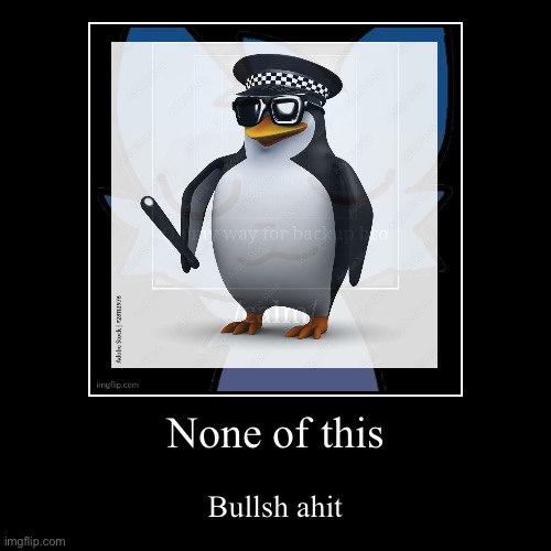 None of this | Bullsh ahit | image tagged in funny,demotivationals | made w/ Imgflip demotivational maker
