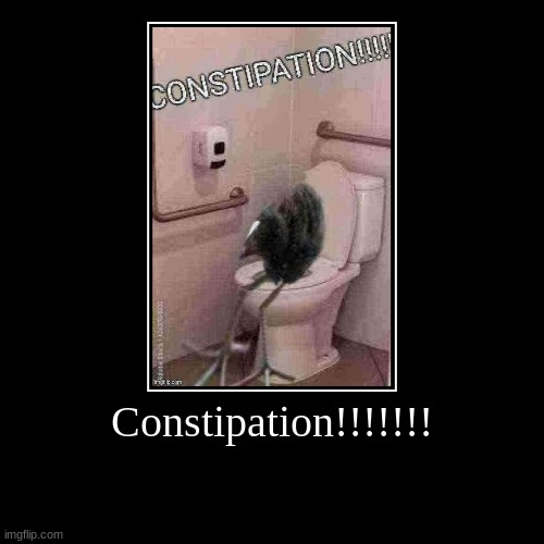 Constipation!!!!!!! | | image tagged in funny,demotivationals | made w/ Imgflip demotivational maker