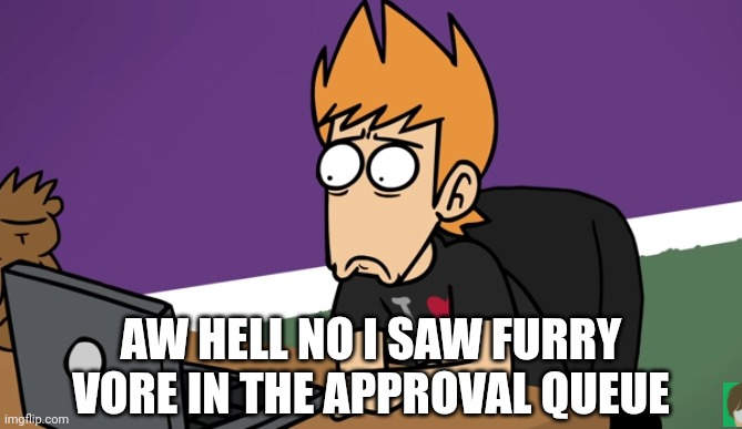 I unfeatured it by the way | AW HELL NO I SAW FURRY VORE IN THE APPROVAL QUEUE | image tagged in matt shocked of the computer,wtf,cursed | made w/ Imgflip meme maker