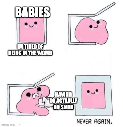 i love babyes | BABIES; IM TIRED OF BEING IN THE WOMB; HAVING TO ACTAULLY DO SMTH | image tagged in never again | made w/ Imgflip meme maker