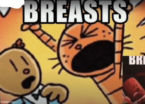BREAST | image tagged in breast | made w/ Imgflip meme maker