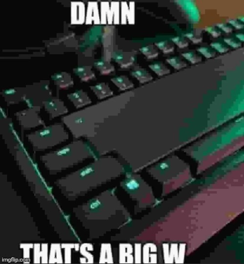 W | image tagged in w | made w/ Imgflip meme maker