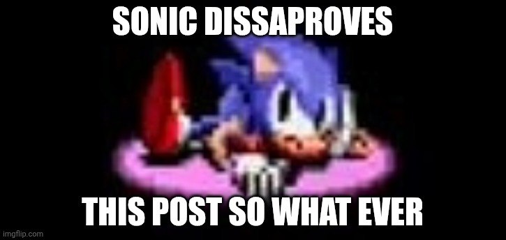 Sonic dissaproves | SONIC DISSAPROVES THIS POST SO WHAT EVER | image tagged in sonic dissaproves | made w/ Imgflip meme maker